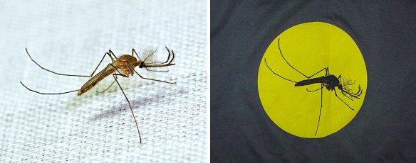 Mosquito and Lou's screen print