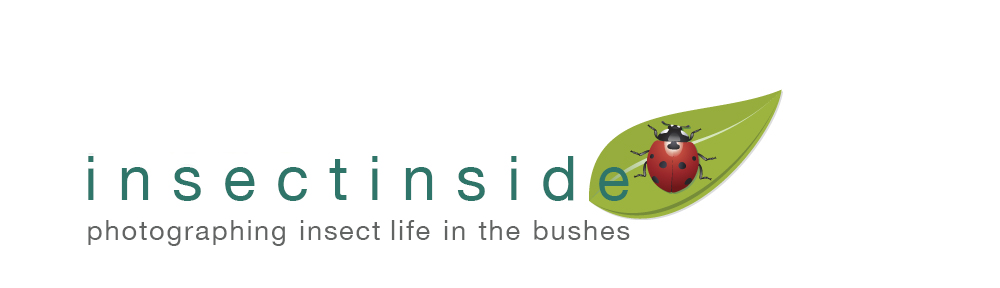 i n s e c t i n s i d e